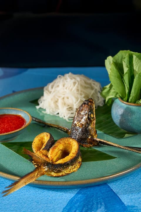 Cá nướng với bún và rau thơm trên nền xanh ngọc